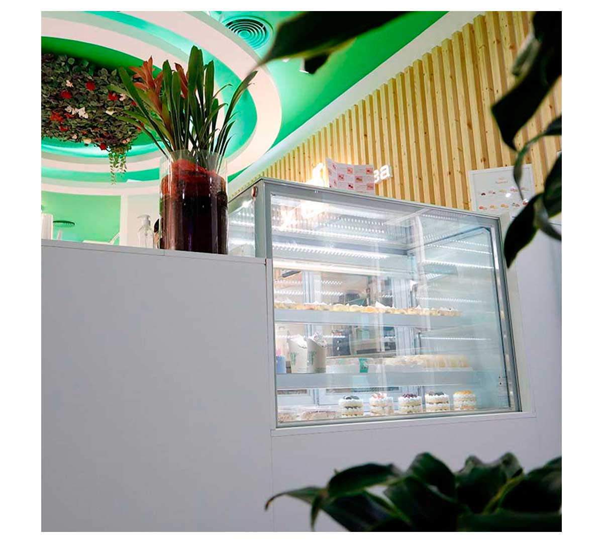 EDENOX - VITRINA EXPOSITORA VERA R