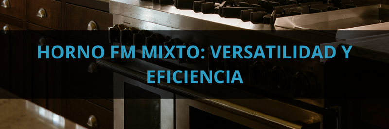 Horno FM Mixto: Versatilidad y Eficiencia