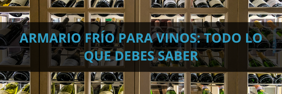 Armario frío para vinos: Todo lo que debes saber