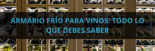 Armario frío para vinos: Todo lo que debes saber