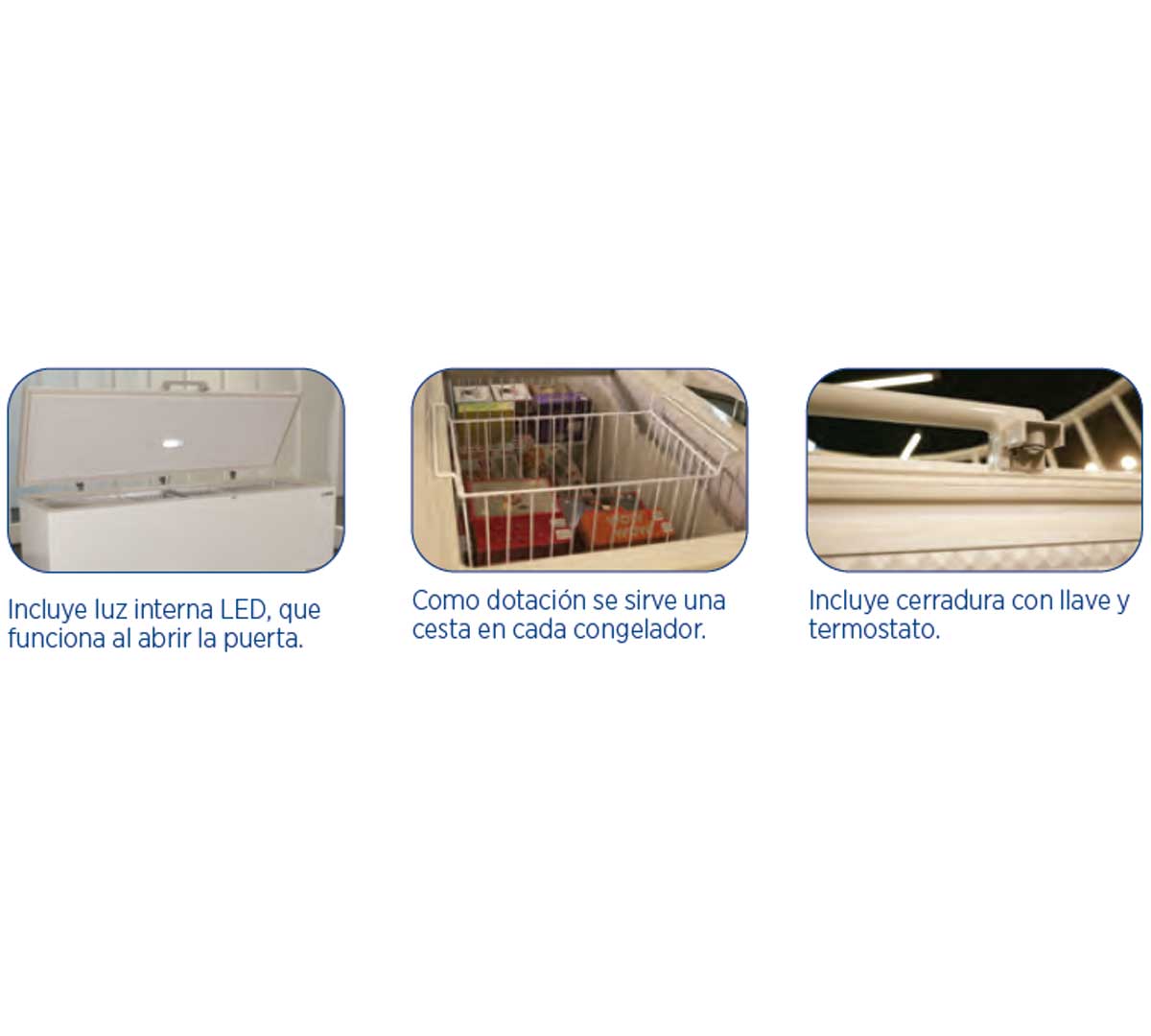 edenox-congelador-horizontal-nfl-120-02