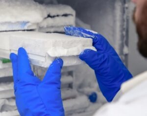 Frío y Congelación