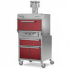 PUJADAS - HORNO BRASA PREMIUM OVEN 50