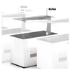 SAYL - BUFFET LINE MÓDULO CON ANTIESPUTO ISLAND BUFFET NEUTRO