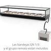 SAYL - VITRINA REFRIGERADA LOGIC GRUPO REMOTO GN