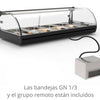SAYL - VITRINA REFRIGERADA STANDARD GRUPO REMOTO GN