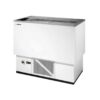 EDENOX - ENFRIADOR DE BOTELLAS EBE-100-G
