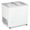 COREQUIP - ARCÓN CONGELADOR PUERTA CRISTAL ICE220