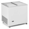INFRICO - CONSERVADORA PUERTA CORREDERA HF 300 TCC HC